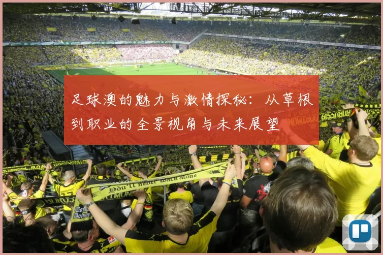 足球澳的魅力与激情探秘：从草根到职业的全景视角与未来展望