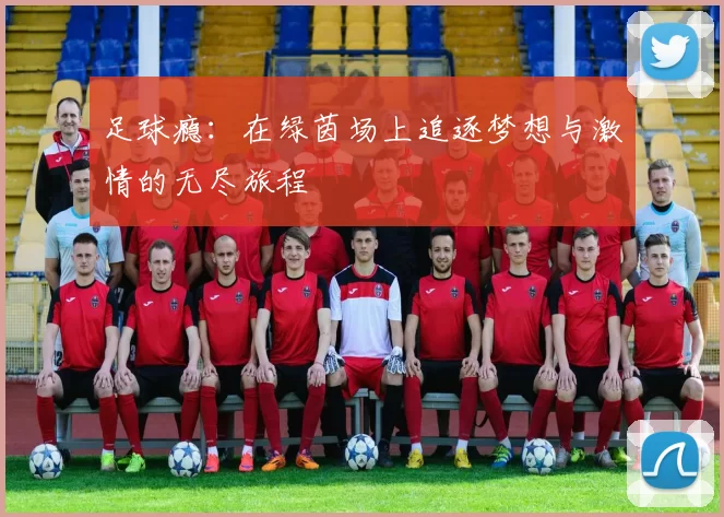 足球瘾：在绿茵场上追逐梦想与激情的无尽旅程