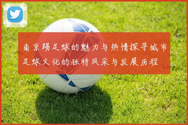 南京踢足球的魅力与热情探寻城市足球文化的独特风采与发展历程