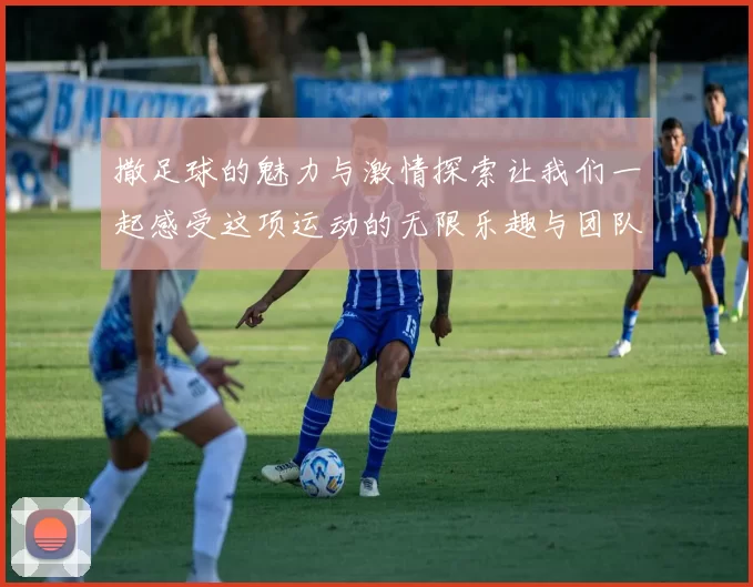撒足球的魅力与激情探索让我们一起感受这项运动的无限乐趣与团队精神