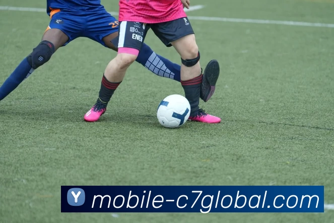 App Interface Preview