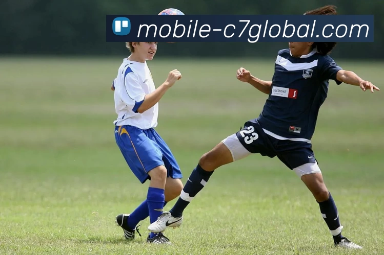 C7娱乐入口APP 封面图